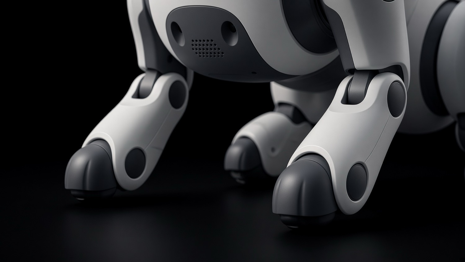 Articulated legs and paws
